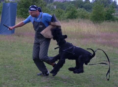 Training in Estonia 6/2007